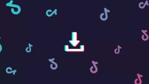 Cara Download Video TikTok Tanpa Watermark Kualitas HD dengan VT Downloader