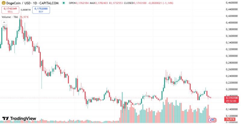 Dogecoin Uji Level Kritis $0,168 Analis Prediksi Potensi Penurunan Hingga 30% 2