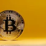 Tahun 2025: Kunci Masa Depan Bitcoin di Tengah Harapan dan Tantangan