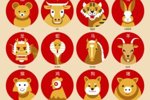 Ramalan Shio Hari Ini: Naga, Ular, Kuda, Kambing, Anjing, dan Babi
