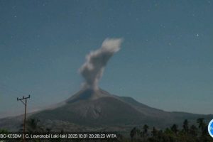 Batuk Batuk Lagi, Gunung Lewotobi Laki-laki Erupt Ketinggian 1.500 Meter
