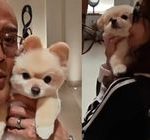 Geram Digosipkan Pisah! Deddy Corbuzier Sindir Pedas Humas PA Jaksel yang Diduga Bocorkan Kasus Cerai Artis