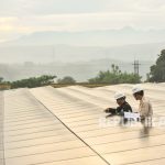 Waspada Penipuan! PLN Jamin Rekrutmen Gratis dan Transparan
