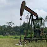 34.000 Sumur Minyak Rakyat Siap Dipadukan dengan Kontraktor Migas