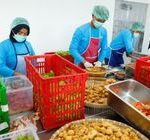 Hanya 39 dari 54 SPPG Di Latih di Semarang, Masih Kurang 86 Unit untuk Program MBG