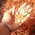 10 Tanda Mimpi Bahagia yang Sering Menakutkan Tapi Bisa Jadi Pertanda Rezeki