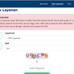 Masih Ada Waktu, Ini Cara Cek PPPK Paruh Waktu 2025 di MOLA BKN, Bisa via HP