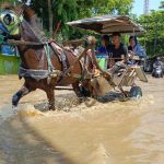 Ketika Delman Jadi Jembatan Saat Banjir Dayeuhkolot Bandung