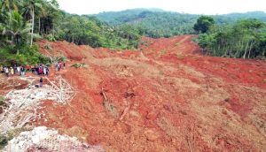 Hasil Kaji Cepat BNPB: Longsor di Cilacap Dipicu Topografi Cekungan