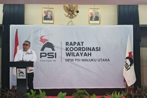 Ketua Harian DPP PSI Sebut Jokowi Tukang Kayu, Tapi Jadi Presiden