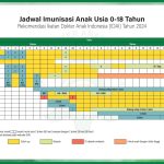 Jadwal Kapal Ende-Surabaya November 2025: Jadwal dan Harga Tiket