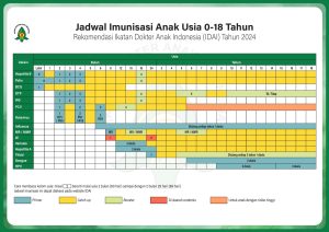 Jadwal Kapal Ende-Surabaya November 2025: Jadwal dan Harga Tiket
