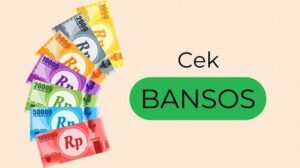 Cek Penerima Bansos PKH dan BPNT 2025 di cekbansos.kemensos.go.id