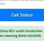 BSU Kemenag Cair! Cara Cek Syarat dan Mekanisme Pencairan Bantuan Rp600 Ribu untuk Guru Non ASN