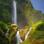 Curug Panetean: Surga Tersembunyi untuk Melepas Stres di Tasikmalaya