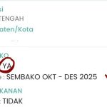 Cek Bantuan Sosial 600 Ribu 2025, Link Resmi dan Cara Pemeriksaan Penerima