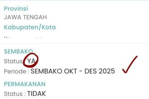 Cek Bantuan Sosial 600 Ribu 2025, Link Resmi dan Cara Pemeriksaan Penerima