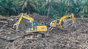 Kejagung: Kasus Banjir Sumatera Tak Terbantah