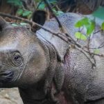 5 Taman Indah Indonesia Masuk UNESCO!