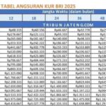 Lengkap! Tabel Angsuran KUR BRI 2025, Bunga 6% dan Tenor Maksimal 5 Tahun