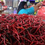 Harga Cabai di Pangandaran Melonjak Jelang Nataru 2026