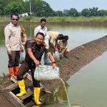 Pemkab dan Kejari Tanggamus Sukseskan Ketahanan Pangan