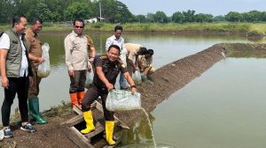 Pemkab dan Kejari Tanggamus Sukseskan Ketahanan Pangan